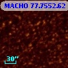 MACHO  77.7552.62