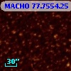 MACHO  77.7554.25