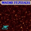 MACHO  77.7554.31