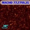 MACHO  77.7788.35