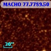 MACHO  77.7789.50
