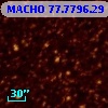 MACHO  77.7796.29