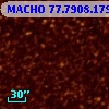MACHO  77.7908.179