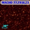 MACHO  77.7916.23