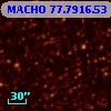 MACHO  77.7916.53
