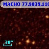 MACHO  77.8039.110