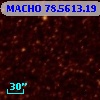 MACHO  78.5613.19