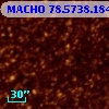MACHO  78.5738.184