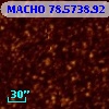 MACHO  78.5738.92