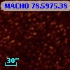 MACHO  78.5975.38