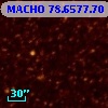 MACHO  78.6577.70