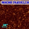 MACHO  78.6582.2305