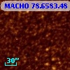 MACHO  78.6583.48