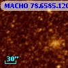MACHO  78.6585.120