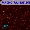 MACHO  79.4895.169