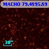 MACHO  79.4895.89