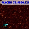 MACHO  79.4900.126