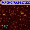 MACHO  79.5017.227