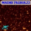 MACHO  79.5018.22