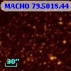MACHO  79.5018.44