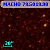 MACHO  79.5019.90