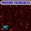 MACHO  79.5020.23