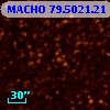 MACHO  79.5021.21