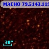 MACHO  79.5143.119