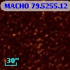 MACHO  79.5255.12