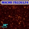 MACHO  79.5261.74