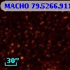 MACHO  79.5266.911