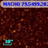 MACHO  79.5499.202