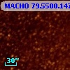MACHO  79.5500.147