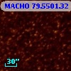 MACHO  79.5501.32
