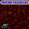 MACHO  79.5502.85