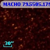 MACHO  79.5505.178