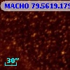 MACHO  79.5619.1792