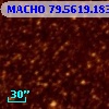 MACHO  79.5619.1833