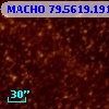 MACHO  79.5619.1913