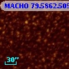 MACHO  79.5862.505