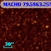MACHO  79.5863.259