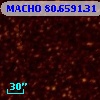 MACHO  80.6591.31