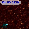 SV* HV  2329