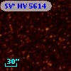 SV* HV  5614