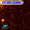 SV* HV 11985
