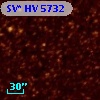SV* HV  5732