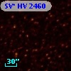 SV* HV  2460