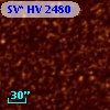 SV* HV  2480
