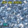 SV* HV 12023