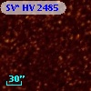 SV* HV  2485
